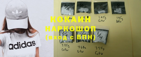 винт Новозыбков