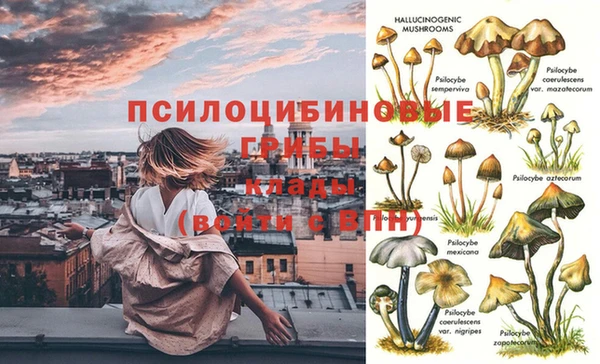 амфетамин Новодвинск